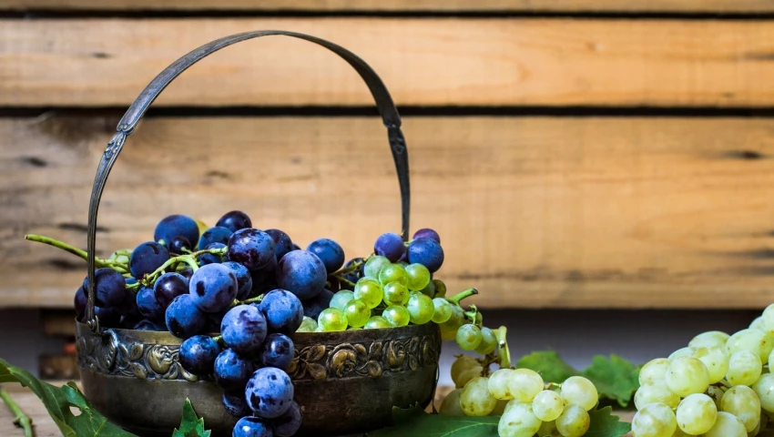 Виноград поможет улучшить зрение в пожилом возрасте