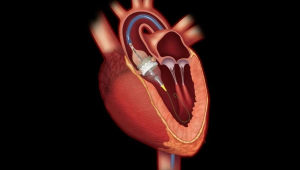 Communications Biology: Новое лечение сердца может помочь организму вырастить запасной клапан