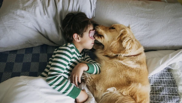 Зоотехник Британии: Спать с собакой или кошкой вредно для здоровья