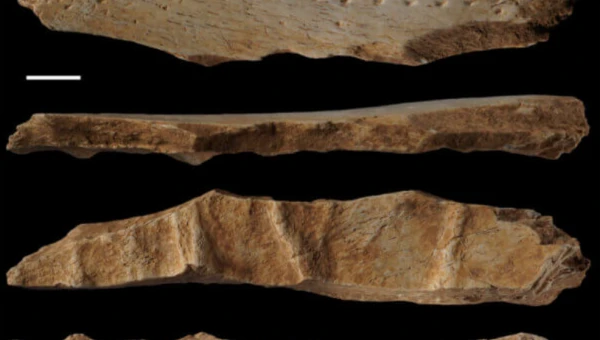Археологи Франции нашли след первой кожаной одежды, которому 40 тысяч лет