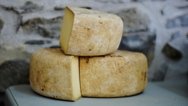 Российские ученые: сыр помогает бороться со стрессом
