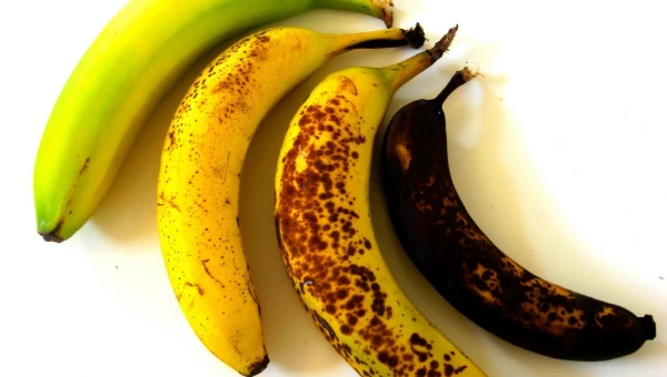 IFLScience: Бананы ускоряют перезревание фруктов, находящихся рядом