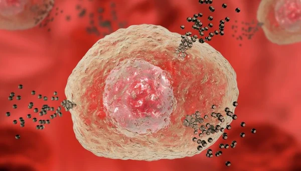 STM: Канадские учёные обнаружили новую клетку, которая запоминает аллергию
