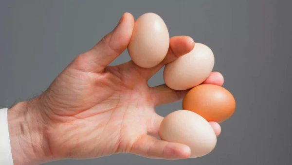 Британские ученые устроили кулинарный эксперимент на куриных яйцах