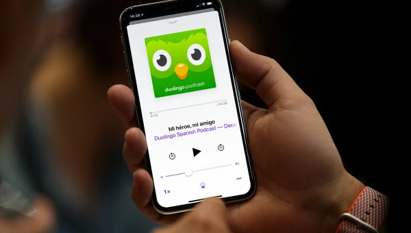 Роскомнадзор: Сервис для изучения языков Duolingo проверят на экстремизм