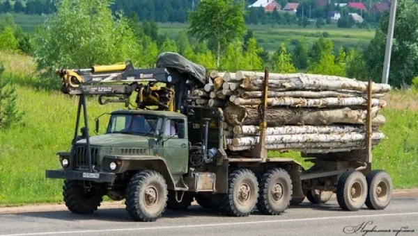 В России за лесовозами буду следить из космоса