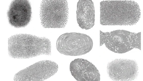 Колумбийские ученые раскрыли, что отпечатки разных пальцев похожи