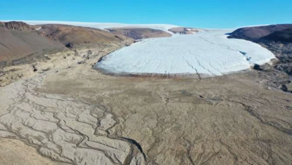 Scientific Reports: Ледниковый щит Гренландии тает и заменяется растительностью