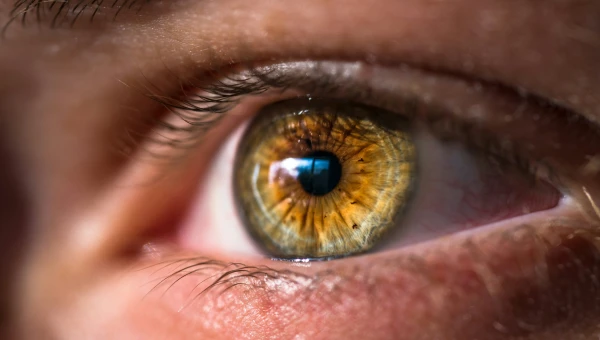 Онколог Иванов назвал утомляемость глаз возможным симптомом рака