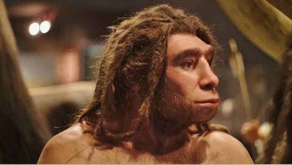 Австралийские учёные нашли новые сведения о питании неандертальцев