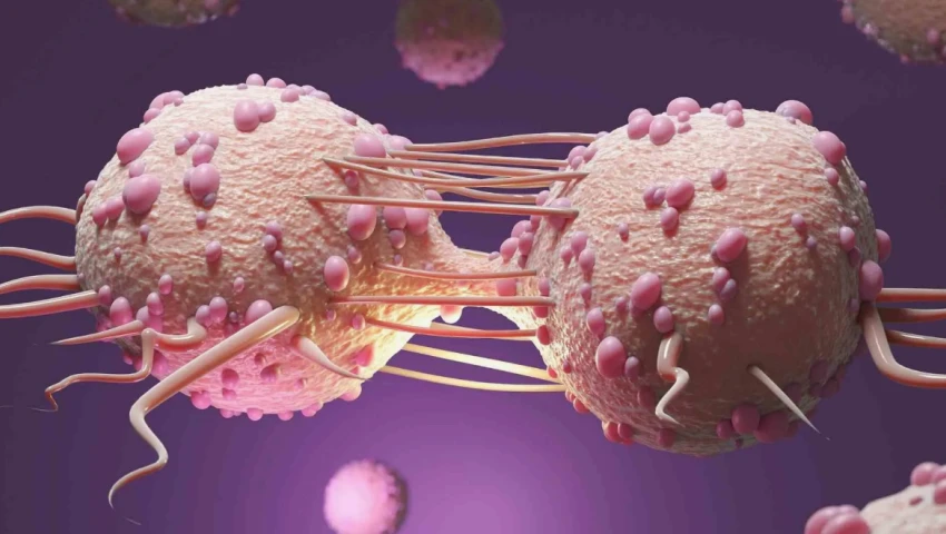 Cancer Cell: Хронический стресс приводит к распространению рака
