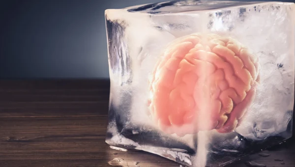 В Канаде выяснили, как мозг защищается от холода
