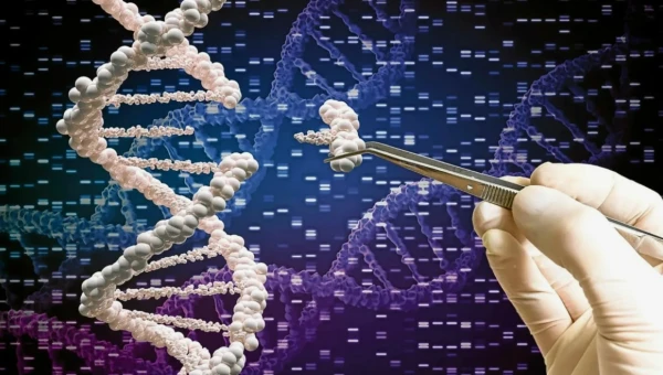 ACS: В Германии нашли способ создать строительные ДНК-блоки