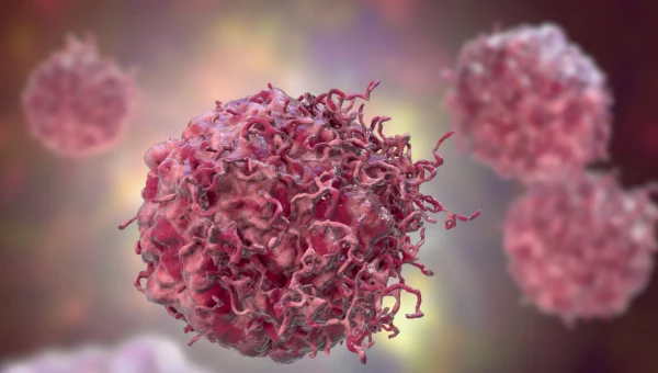 PNAS: Белковый «тормоз» может помочь в разработке новых методов лечения рака