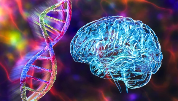 NatCom: Ген, защищающий ДНК, играет решающую роль в болезнях мозга