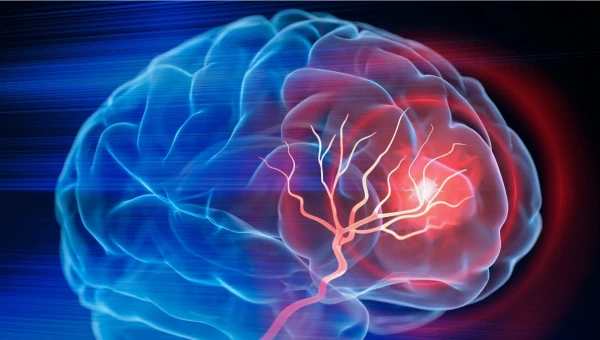 Nature Medicine: Клеточная терапия «двойной цели» уменьшает опухоли мозга