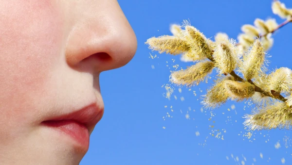 Иммунолог Быков рассказал, что делать для облегчения аллергии на цветение