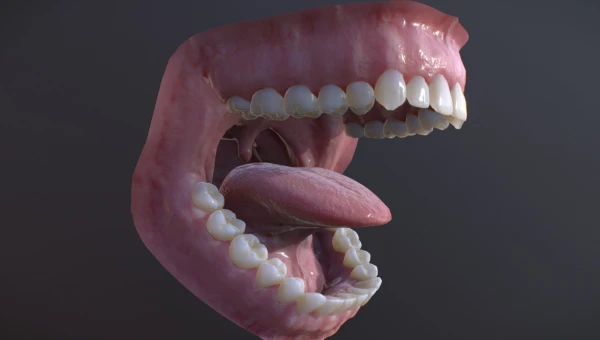 TEJ: Лабораторная модель позволяет изучать реакцию на заболевания полости рта