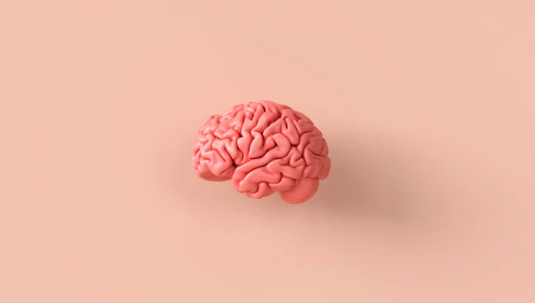 AMT: Первая в мире модель мозга высокого разрешения создана на 3D-принтере