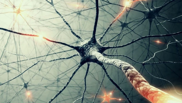 Nature Neuroscience: Бытовые химикаты опасны для здоровья мозга