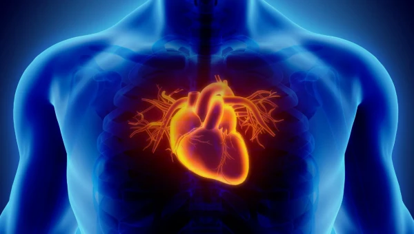 Названы ключевые гены, отвечающие за контроль давления и сердечных сокращений