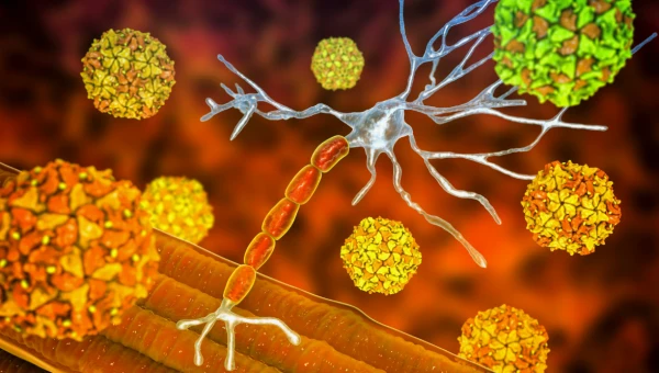 Новый инструмент выявляет признаки болезни нейронов до появления симптомов