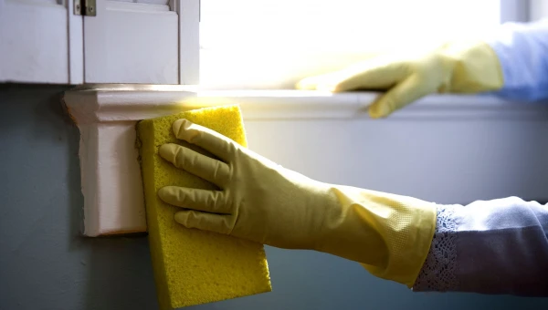 Биолог Комбарова: Мытьё рук и подоконников поможет спастись от весенней пыли