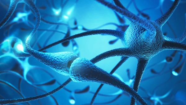 Molecular Psychiatry: Фактор роста эритропоэтин влияет на нейроны