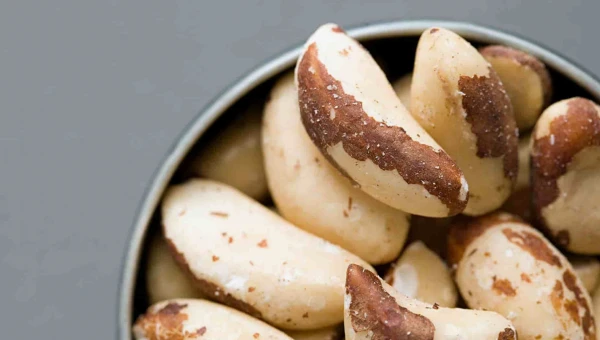 Health: Бразильские орехи могут поддерживать когнитивное здоровье