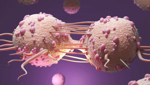 Взаимодействие раковых клеток с иммунными может предсказать ответ иммунотерапии