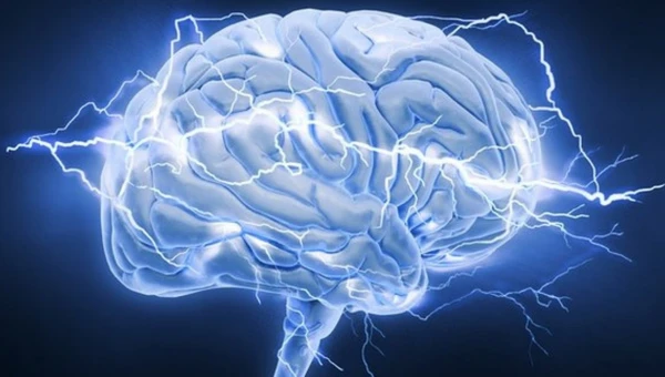 COBS: Химия мозга влияет на формирование политических взглядов