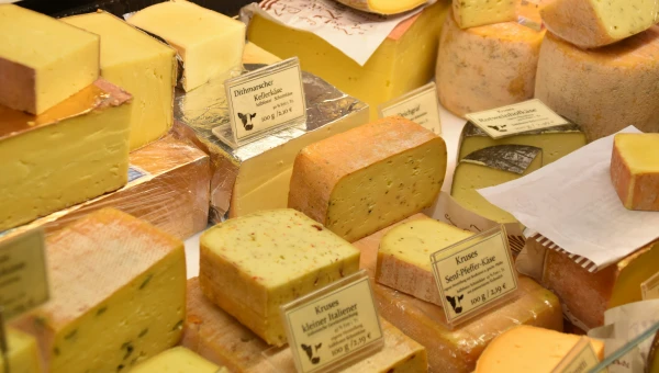 BBC Science Focus: Сыр защищает организм от влияния насыщенных жиров