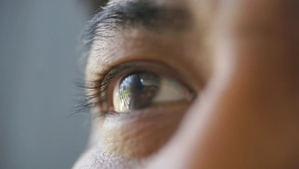 ChNeurosci: Управление белками шаперонами замедляет старение глаз