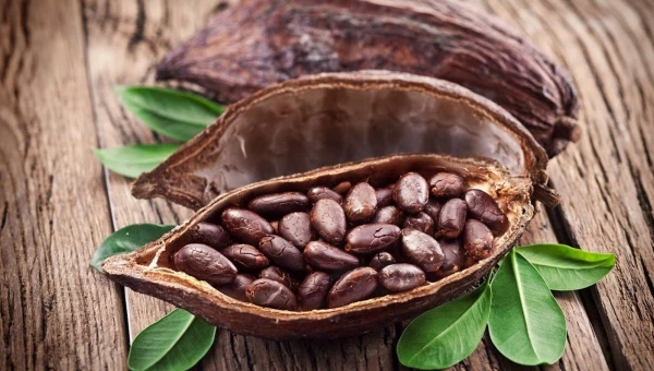 Health News: Какао в чистом виде замедляет старение
