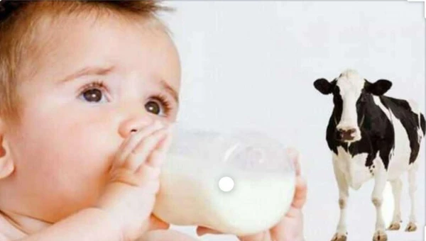 Врач Хайкина: Избыточный прием молока ребенком может спровоцировать лишний вес