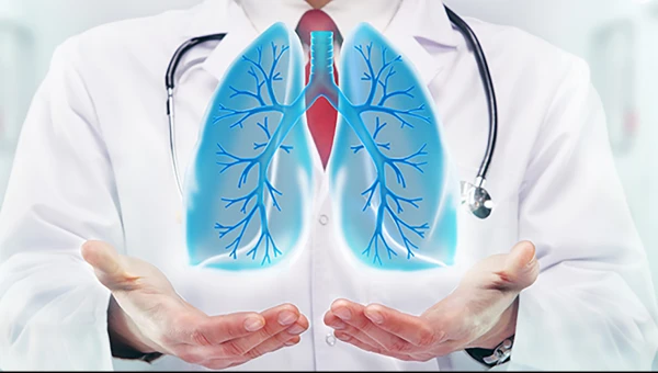 Clinical Investigation: B-клетки связаны с отторжением трансплантата лёгких
