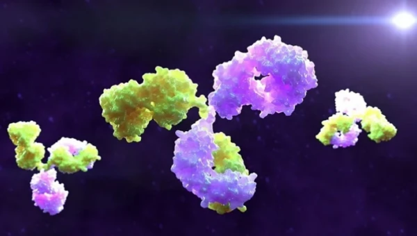 bioRxiv: Биспецифические антитела обещают бороться SARS-CoV-2