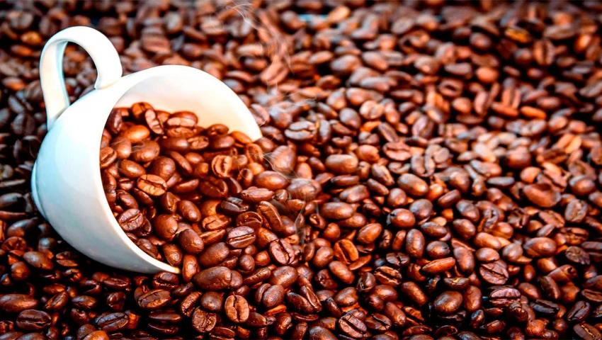 Засуха в Мексике может привести к сокращению производства кофе на 30 процентов