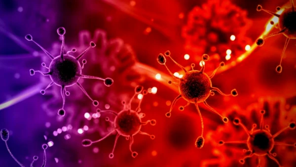 AdvSci: Лечение растительными вирусами с наночастицами оказалось эффективным