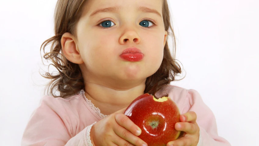 ECO: Сахар из фруктов и молочных продуктов дает меньший риск детского ожирения
