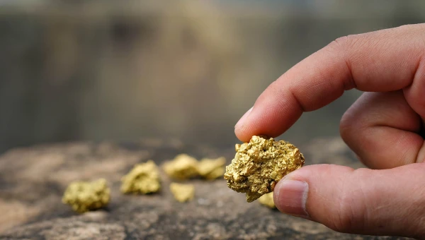 Angewandte Chemie: Представлены новые методы добычи золота, серебра и меди