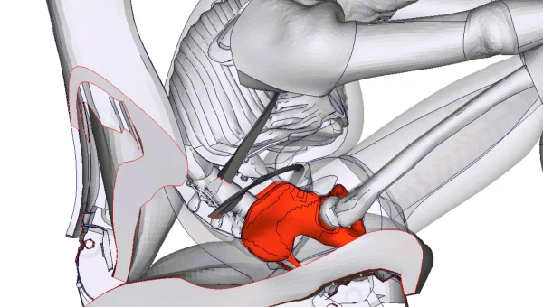 Создан прототип женского позвоночника для краш-тестов