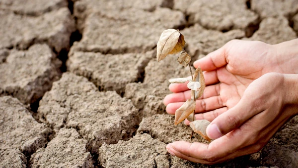 GRL: Изменение климата усиливает внезапные засухи во всём мире