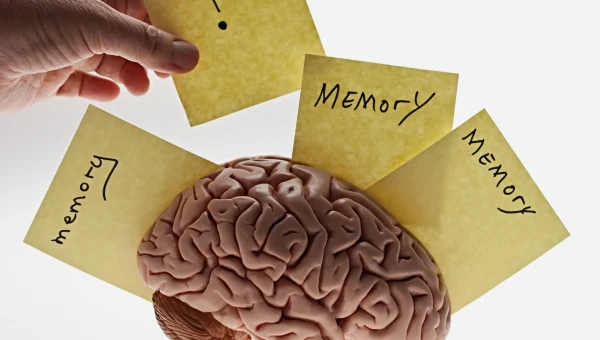 Невролог Мацокин: Книги, иностранные языки и головоломки помогут улучшить память
