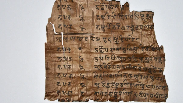 Тексты Прото-Сарады могут раскрыть повседневную жизнь древних индийцев