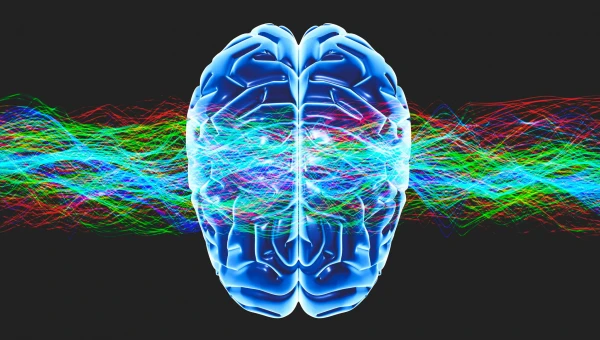 Cerebral Cortex: Риск болезни Альцгеймера связан с гиперактивными цепями памяти