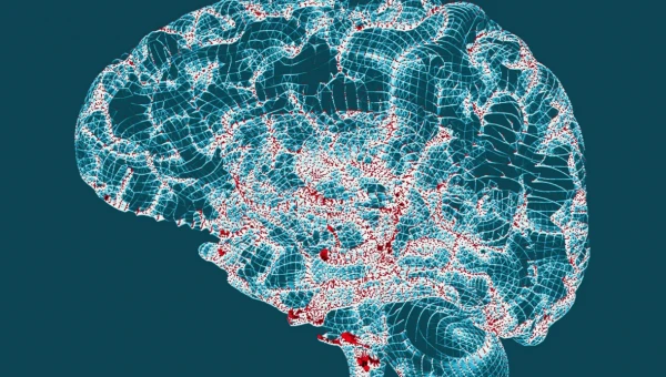 MolNeu: Биомаркер болезни Альцгеймера связан с причиной болезни