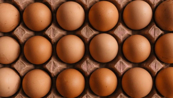 Инфекционист Мескина назвала яйца и мясо основными источниками сальмонелл