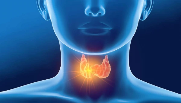 Эндокринолог Фатеева: Проблемы с щитовидной железой приводят к бессоннице