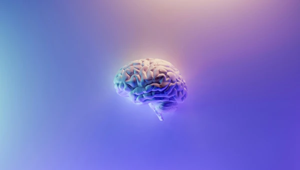 Биотехнологи Neuro-Innovators разработали новое лекарство от инсульта